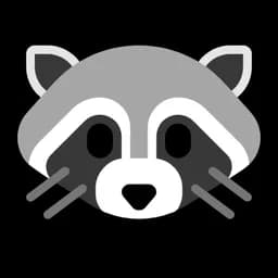 RacoonDR