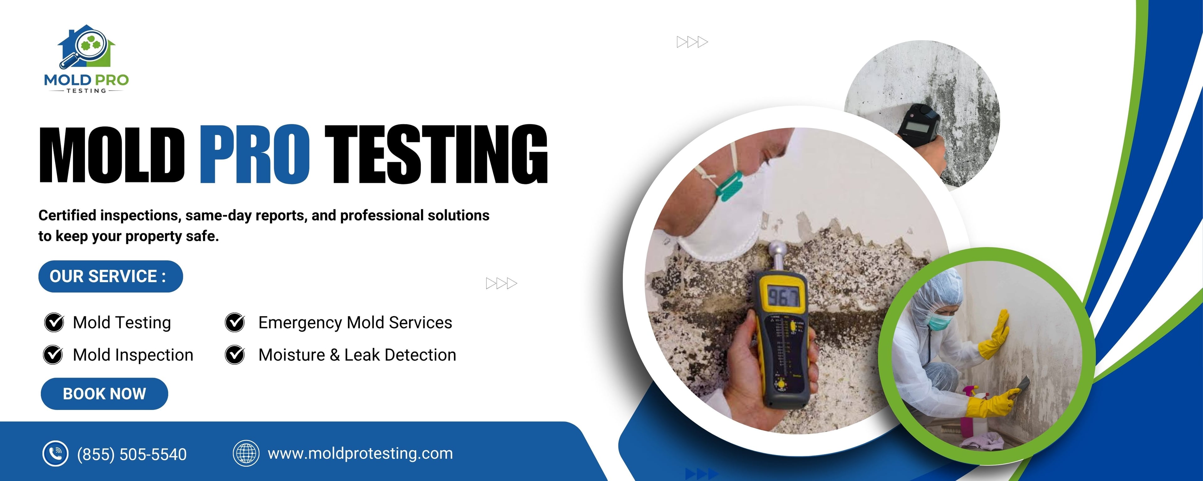 Mold Pro Testing