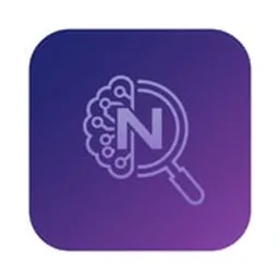 NSDM Ai